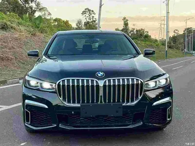 2018 BMW 7 Series 730Li Leading Type M Sport Package, фото 2, лот 10458961