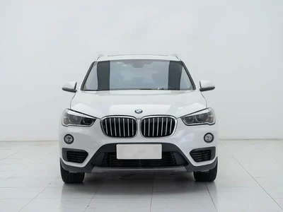 2019 BMW X1 sDrive20Li Leading Model, фото 2, лот 10424395
