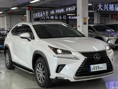 2018 Lexus NX Model 300h FWD Fengshang Edition China V, фото 3, лот 10445384