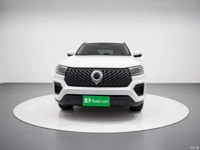 2023 Great Wall Pao 2.0T Commercial Manual Diesel 4WD Elite Long Box GW4D20M, фото 2, лот 10245987