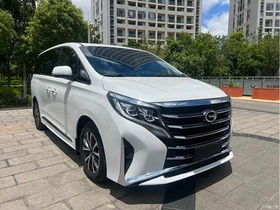 2023 GAC Trumpchi Trumpchi M8 Leading Series 390T Premium Edition, фото 3, лот 10416768