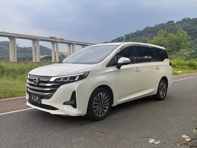 2019 GAC Trumpchi Trumpchi M6 270T Automatic Premium Edition (7-Seater) China V, фото 1, лот 10418211