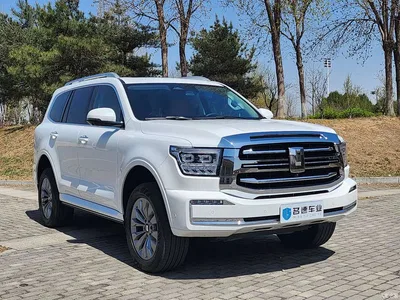 2023 Tank 500 3.0T Sport Edition (5-seater), фото 3, лот 10343988