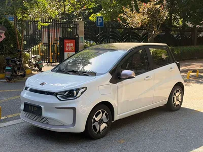 2021 Sehol Flower Fairy 302km Luxury 30.2kWh, фото 1, лот 11582246