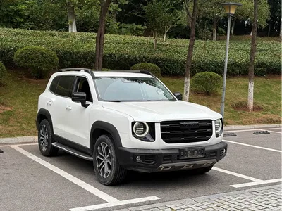 2021 Haval Big Dog 1.5T DCT 2WD Border Collie Edition, фото 3, лот 11249285