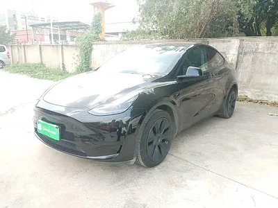 2023 Tesla Model Y Rear-Wheel Drive Edition, фото 2, лот 10455433