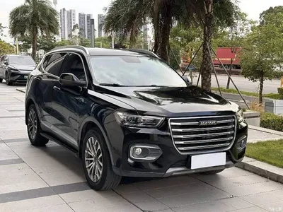 2020 Haval H6 1.5GDIT Automatic Platinum Champion Edition, фото 3, лот 10476112