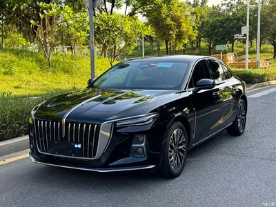 2025 Hongqi H5 2.0T Automatic Flag Celebration 500,000 Units Anniversary Edition, фото 1, лот 10288460