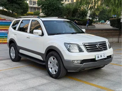 2008 Kia Borego 3.8L Luxury Edition China IV, фото 3, лот 11144522