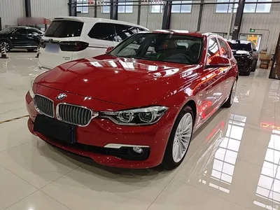 2018 BMW 3 Series 320Li Fashion Style, фото 2, лот 10842612