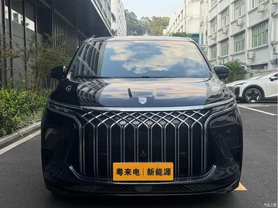 2024 Dongfeng Starlight V9 1.5TD 200km Chinese Knot Series Luxury, фото 2, лот 11148107