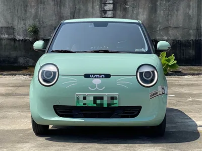 2022 Changan Qiyuan Changan Lumin 210km Sweet Edition, фото 2, лот 11073407