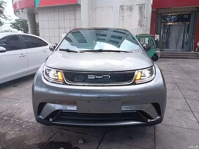 2023 BYD Dolphin 420km Fashion Edition, фото 3, лот 10264526