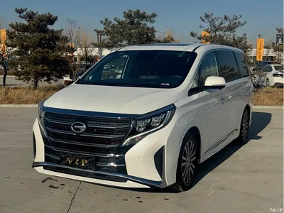 2021 GAC Trumpchi Trumpchi M8 Leading Show Series 390T Ultimate Edition, фото 1, лот 10416307