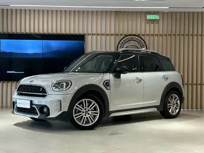 2022 MINI COUNTRYMAN Facelift 2.0T COOPER S, фото 1, лот 10331233