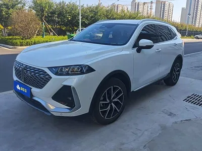 2022 WEY Latte DHT-PHEV 1.5T AWD Super Large Edition, фото 1, лот 10957982