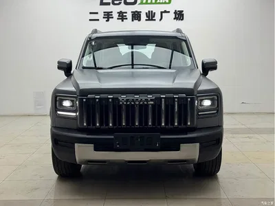 2025 Haval Menglong 2.0T 4WD Ultra, фото 2, лот 10281573