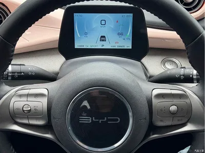 2021 BYD Dolphin 401km Knight Edition, фото 4, лот 11548680