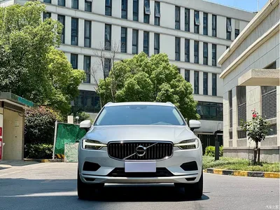 2019 Volvo XC60 T5 4WD Intelligent Ease China VI, фото 2, лот 10357014