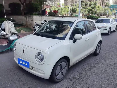 2019 Ora Black Cat Model 351km Smart Fun Edition, фото 1, лот 11202516