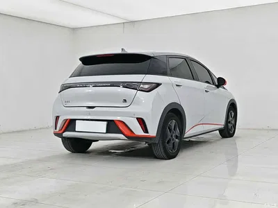 2021 BYD Dolphin Model 405km Fashion Edition, фото 4, лот 11448387