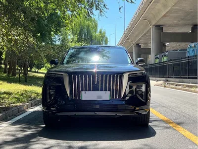 2022 Hongqi E-HS9 690km Qi Xiang Edition (6-seater), фото 2, лот 10289036