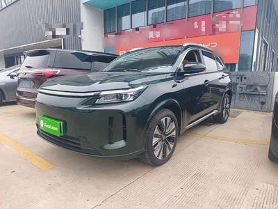 2025 Landian E5 PLUS 165km Long Range Pro (5-Seater), фото 1, лот 11643559