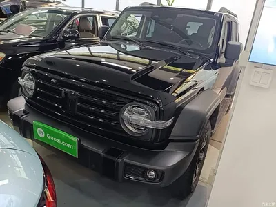 2021 Tank 300 Off-road Version 2.0T Conqueror, фото 2, лот 10345386