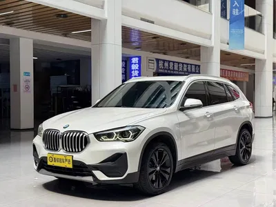 2021 BMW X1 Facelift sDrive20Li Fashion, фото 1, лот 10403683