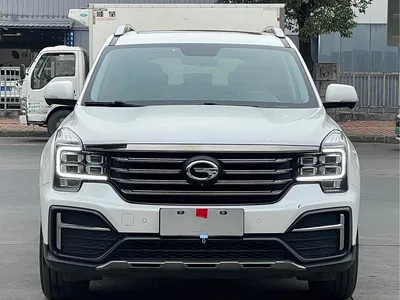 2020 GAC Trumpchi Trumpchi GS8 Model 390T FWD Luxury Smart Connect (7-seater), фото 2, лот 10420381