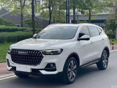 2023 Haval H6 National Trend Edition 1.5T Automatic Champion, фото 1, лот 10381444