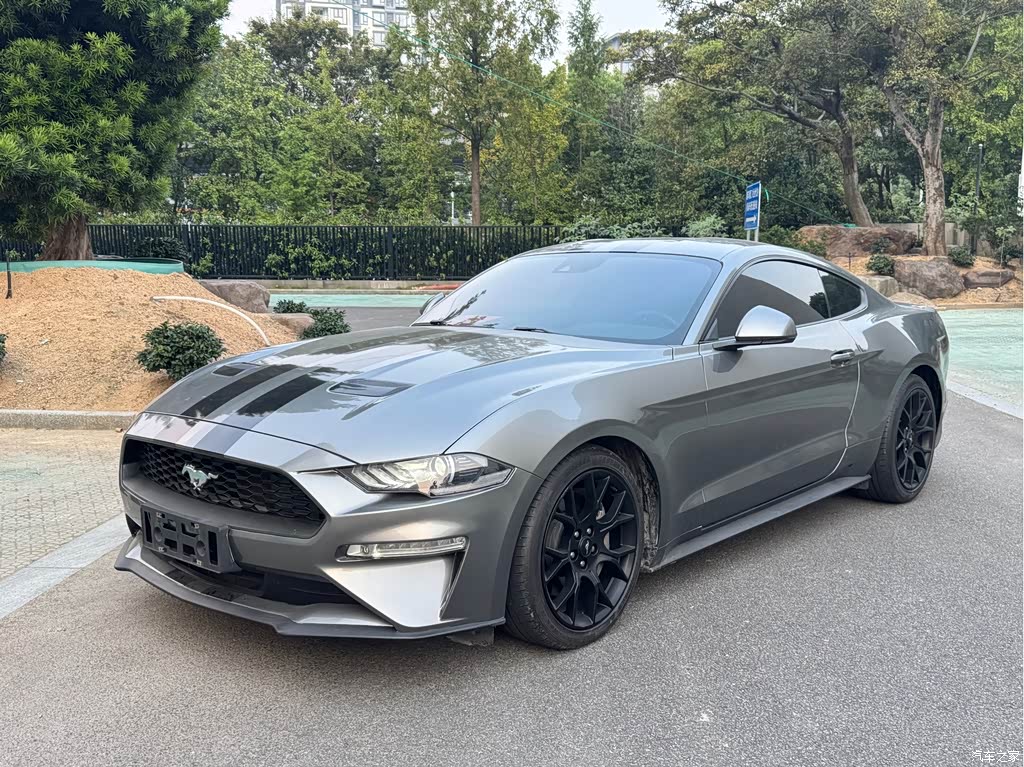 2019 Ford Mustang 2.3L EcoBoost, фото 1, лот 11192183