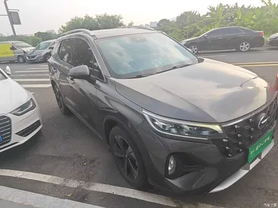 2022 GAC Trumpchi Trumpchi GS4 270T Automatic Smart Flagship Edition, фото 4, лот 11095505