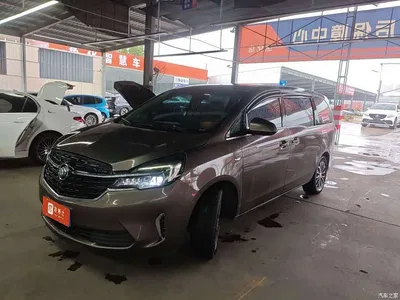 2021 Buick GL8 Land Business Class 652T Comfort, фото 1, лот 10393921