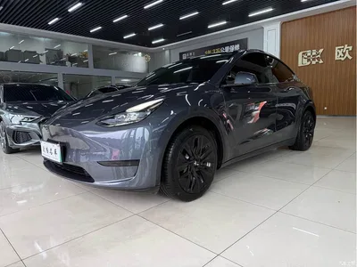 2022 Tesla Model Y Facelift Rear-Wheel Drive Version, фото 1, лот 11225687