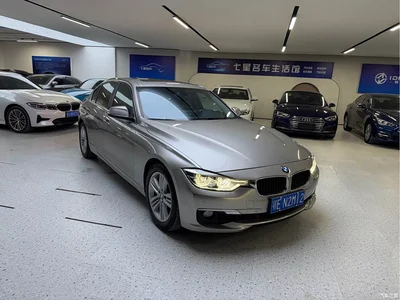 2016 BMW 3 Series 320Li Progressive, фото 3, лот 10830189