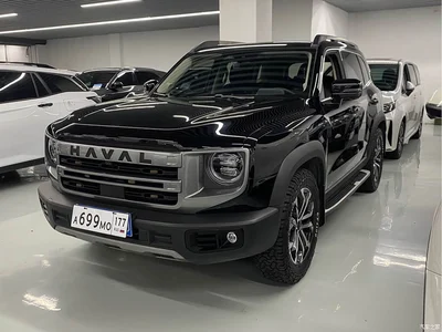 2024 Haval Big Dog 1.5T DCT Border Collie Edition, фото 1, лот 10838861