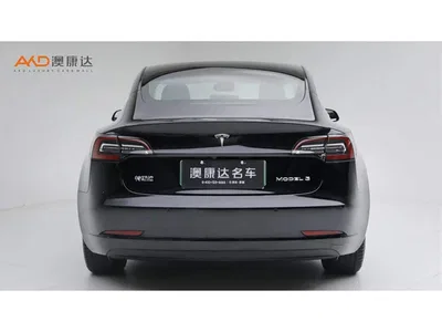 2020 Tesla Model 3 Standard Range Rear-Wheel Drive Upgrade, фото 4, лот 11567590