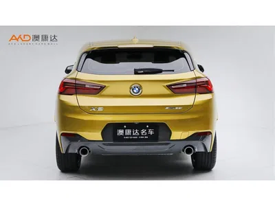 2020 BMW X2 sDrive25i Leading M Sport Package, фото 4, лот 10428491