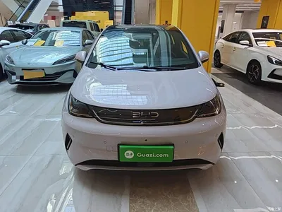 2025 BYD Dolphin Smart Drive Edition 410km Fashion Version, фото 3, лот 10264159
