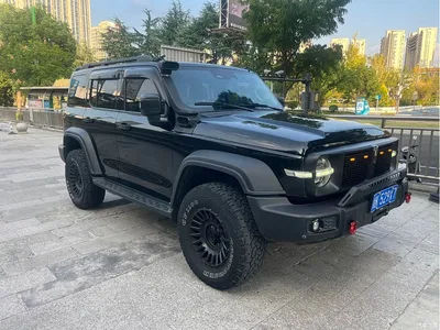 2021 Tank 300 Off-road Version 2.0T Conqueror, фото 4, лот 11182076