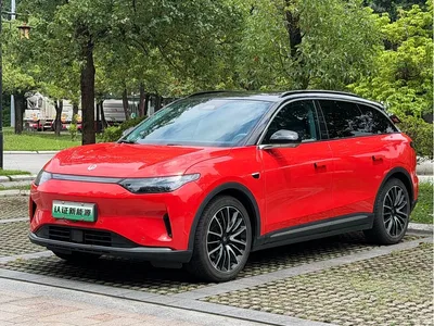 2021 Leapmotor C11 Model Premium Edition, фото 1, лот 10399913