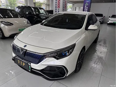 2022 Venucia D60EV Standard Range Smart Drive Edition, фото 1, лот 11153903