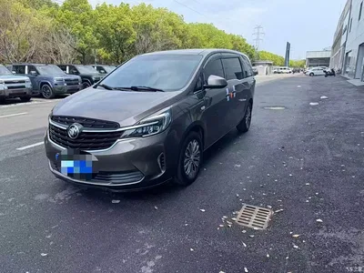 2020 Buick GL8 Model Land Business Class 652T Comfort, фото 2, лот 11224131