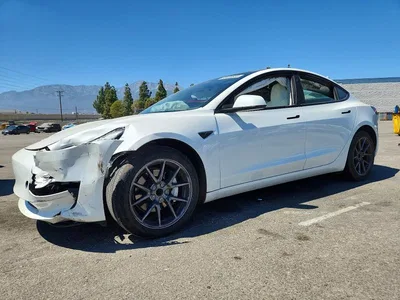 2023 TESLA MODEL 3, фото 1, лот 10714648