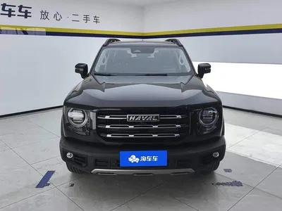 2021 Haval Big Dog 1.5T DCT 2WD Border Collie Edition, фото 2, лот 11214803