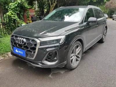 2025 Audi Q7 55 TFSI quattro S line Sport, фото 1, лот 10457173