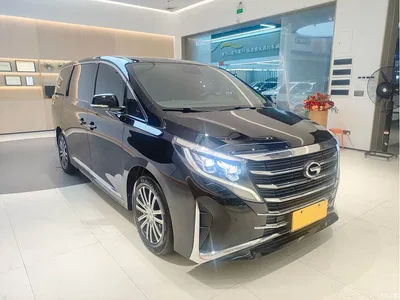 2021 GAC Trumpchi Trumpchi M8 Leading Show Series 390T Prestige Edition, фото 2, лот 10415195