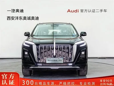 2025 Hongqi HS3 PHEV 125km Jingwei PLUS 2 Million Commemorative Edition, фото 2, лот 10286871