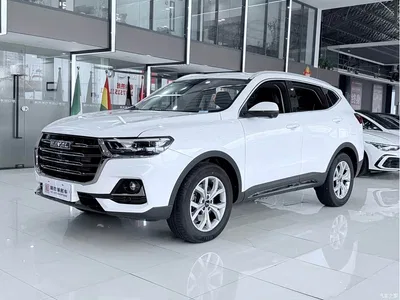 2021 Haval H6 National Trend Edition 1.5GDIT Automatic Champion Edition, фото 1, лот 10281910
